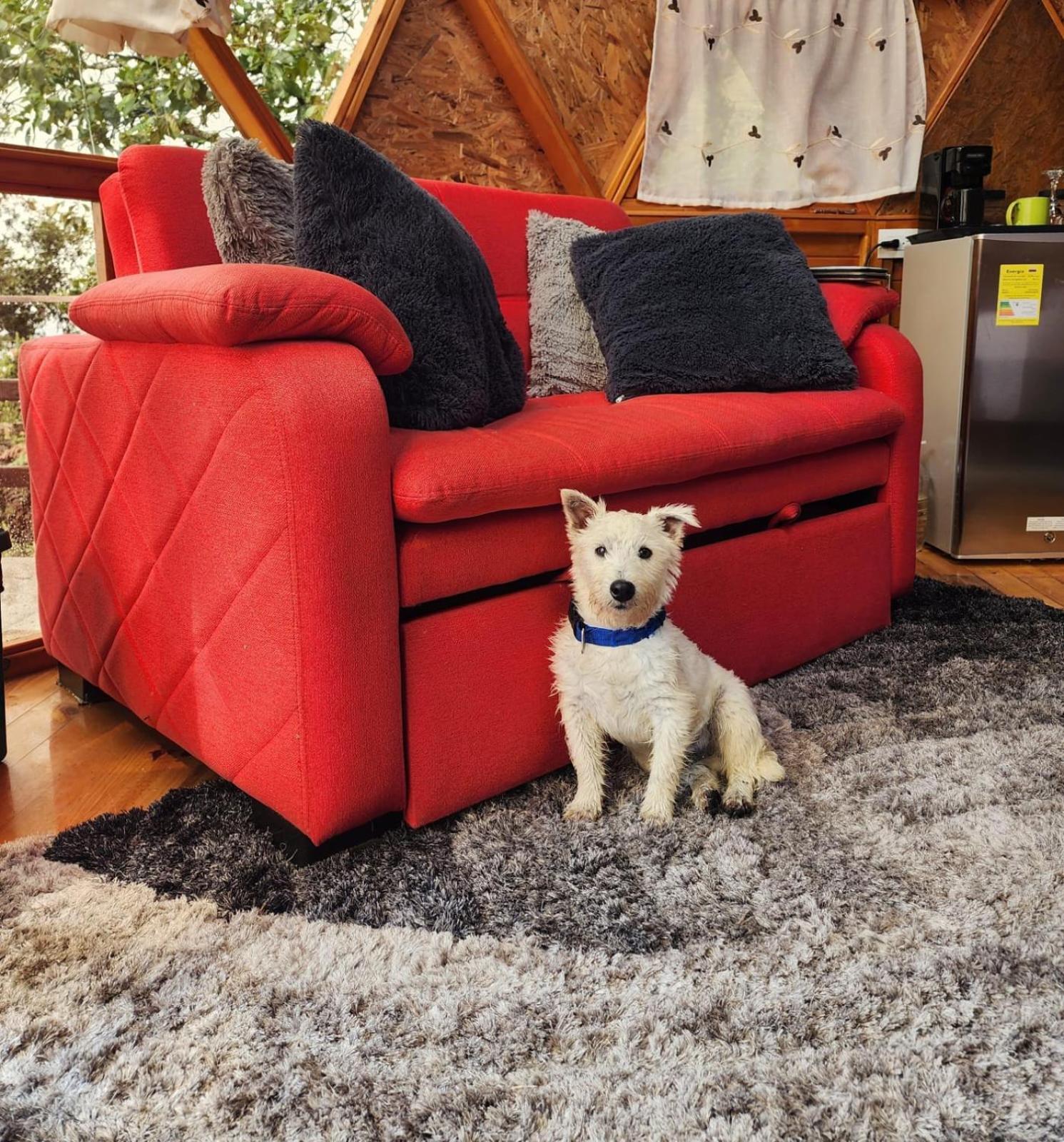 ホテル Glamping Sede Campestre Mirador De Pueblo Viejo グアタビータ エクステリア 写真